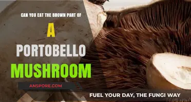 Can You Eat the Brown Part of a Portobello Mushroom?
