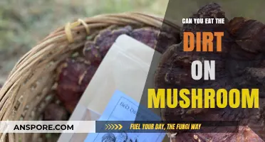 Is It Safe to Eat the Dirt on Mushrooms? Expert Insights