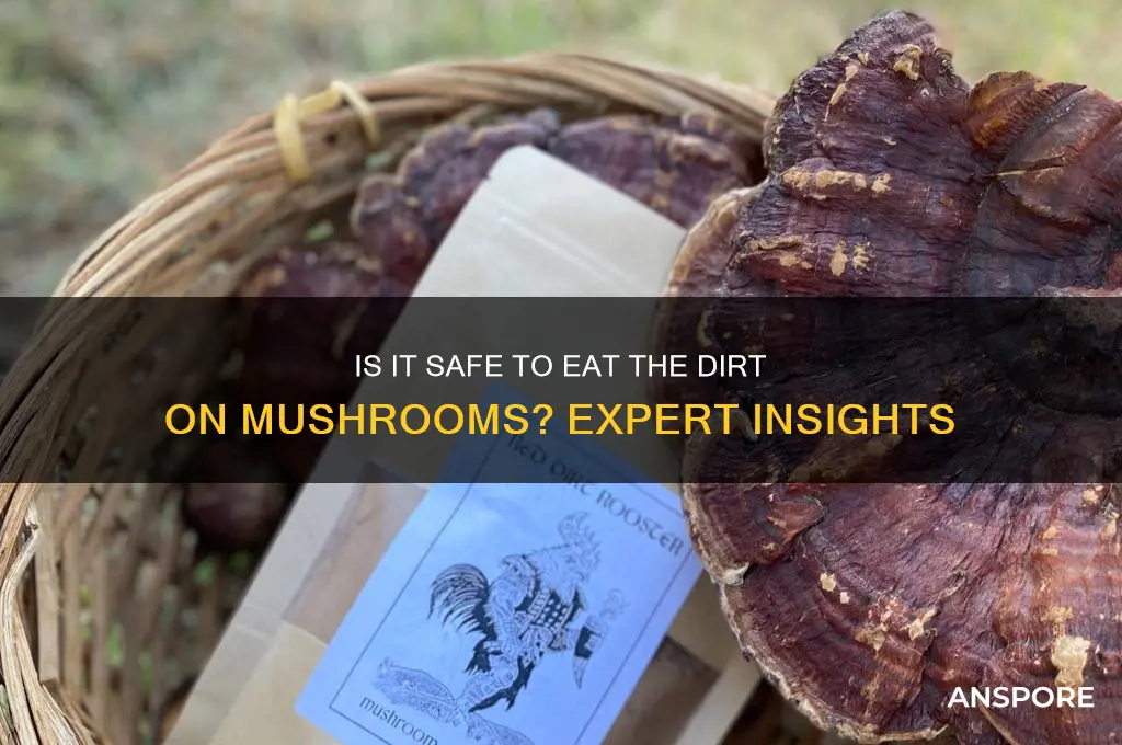 can you eat the dirt on mushrooms