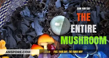Can You Safely Eat the Entire Mushroom? A Complete Guide