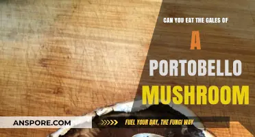 Can You Eat Portobello Mushroom Gills? A Tasty Truth Revealed