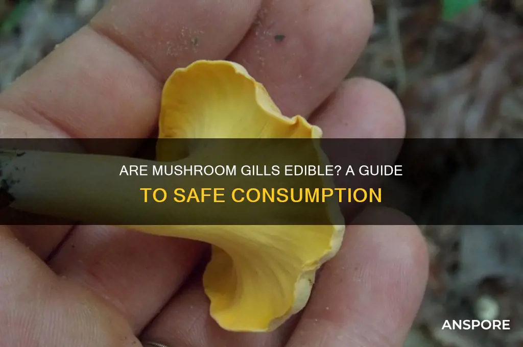 can you eat the gills of mushrooms