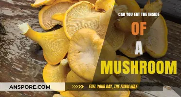 Can You Eat Mushroom Insides? A Guide to Edible Parts