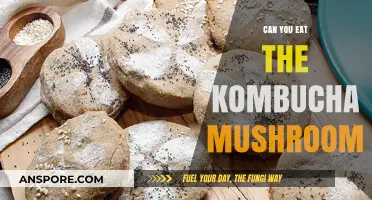Can You Eat the Kombucha Mushroom? Surprising Facts Revealed