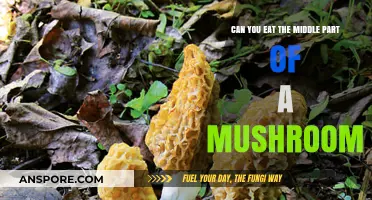 Can You Eat the Mushroom's Middle? A Fungal Food Guide
