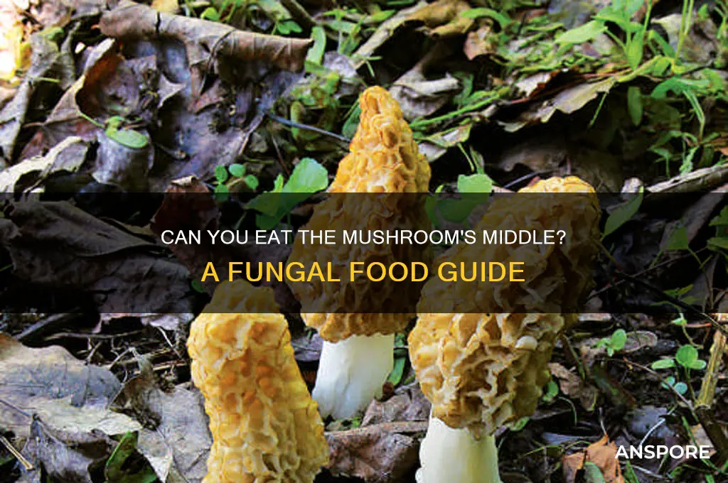 can you eat the middle part of a mushroom