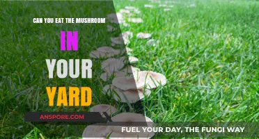 Can You Safely Eat Mushrooms Growing in Your Yard?