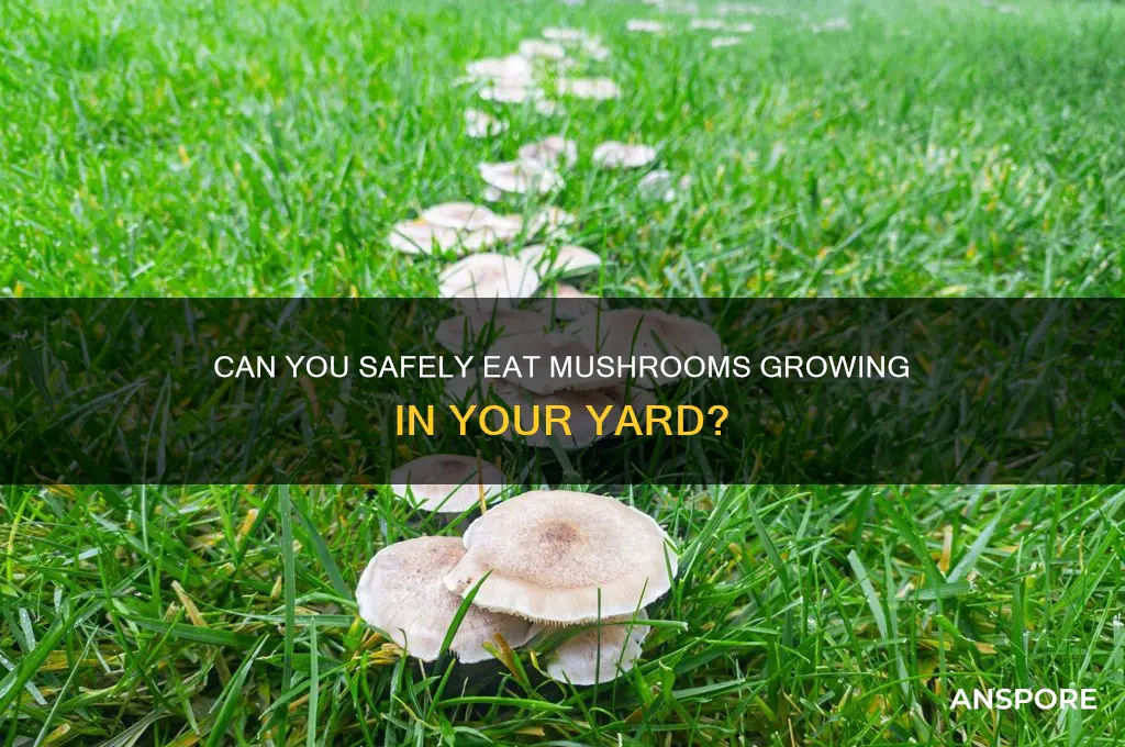can you eat the mushroom in your yard