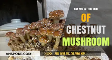 Chestnut Mushroom Skin: Edible or Not? A Culinary Guide