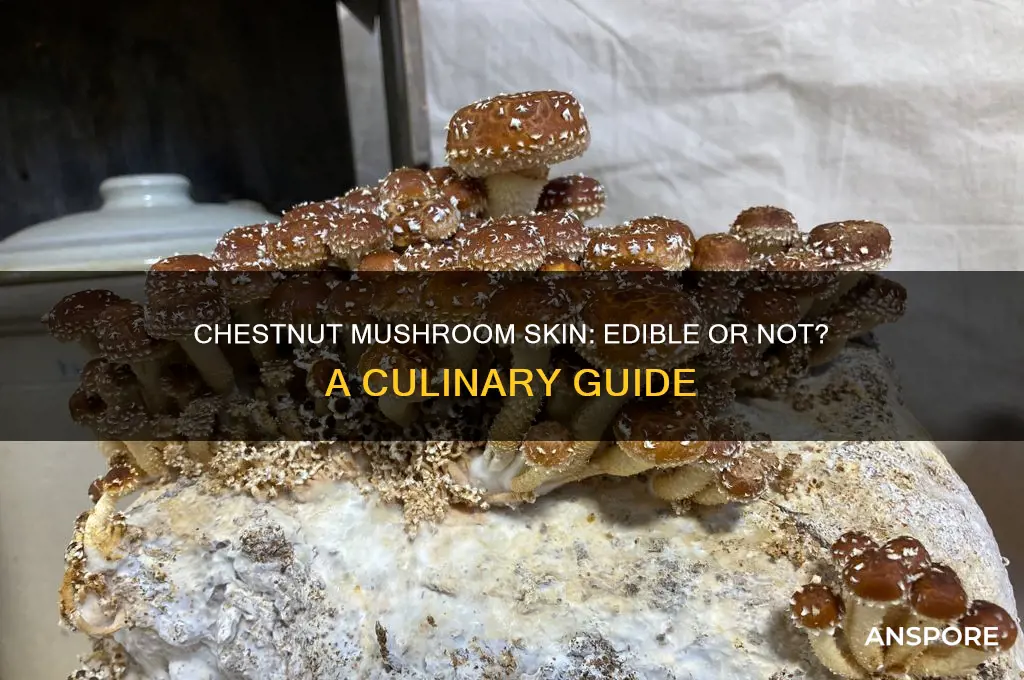 can you eat the skin of chestnut mushrooms