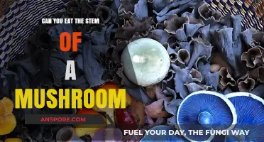 Can You Eat Mushroom Stems? A Guide to Edible Parts