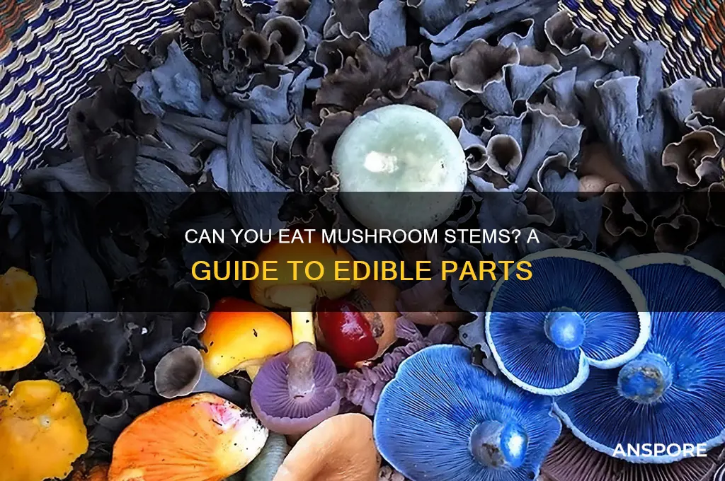 can you eat the stem of a mushroom