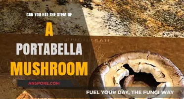 Portabella Mushroom Stems: Edible or Not? A Culinary Guide