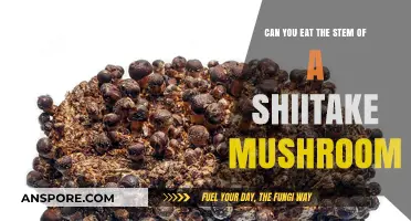 Shiitake Stems: Edible or Not? A Tasty Mushroom Guide