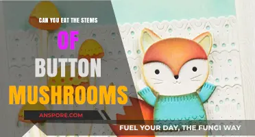 Can You Eat Button Mushroom Stems? A Tasty Truth Revealed