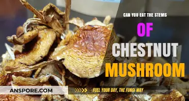 Chestnut Mushroom Stems: Edible or Not? A Culinary Guide