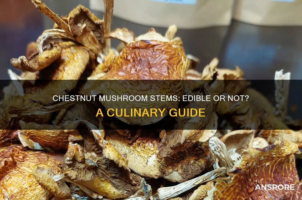 can you eat the stems of chestnut mushrooms