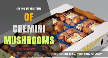 Can You Eat Cremini Mushroom Stems? A Tasty Guide