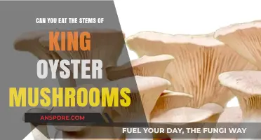 King Oyster Mushroom Stems: Edible, Nutritious, and Delicious Ways to Enjoy