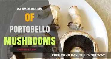 Portobello Mushroom Stems: Edible or Not? A Culinary Guide