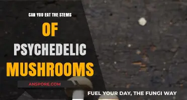 Can You Eat Psychedelic Mushroom Stems? Safety and Effects Explained