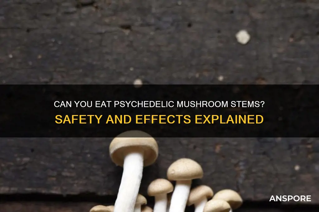 can you eat the stems of psychedelic mushrooms