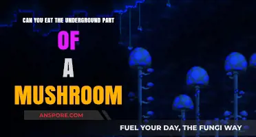 Can You Eat Mushroom Underground Parts? A Safe Consumption Guide