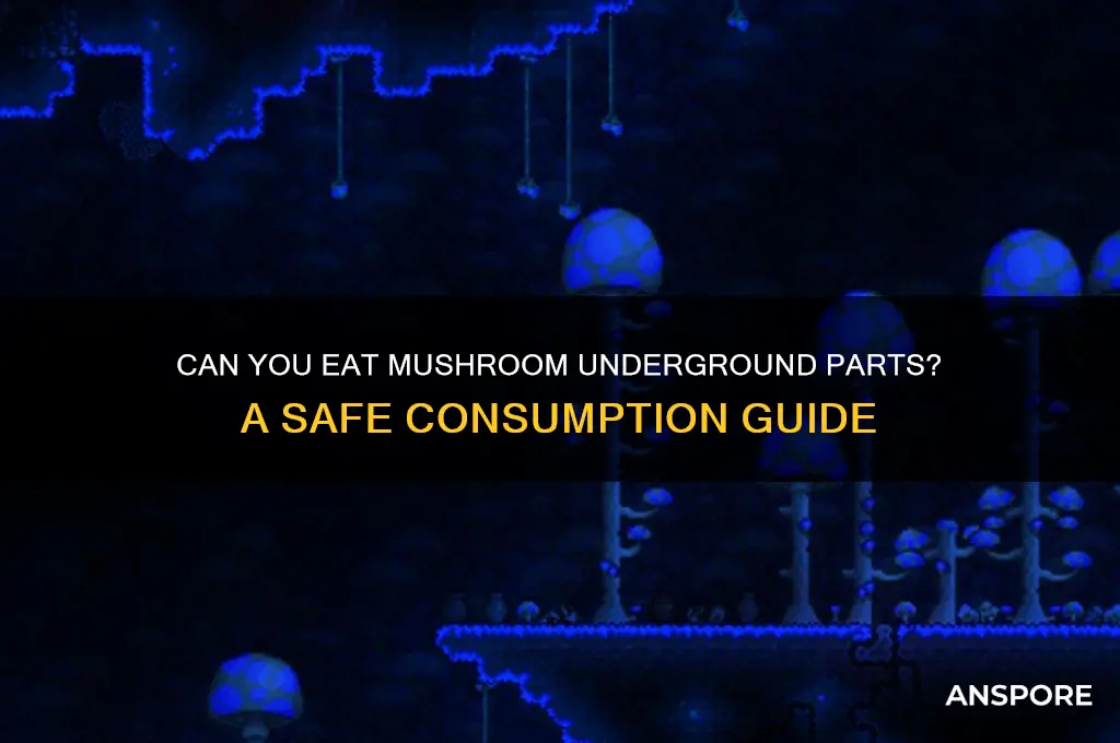 can you eat the underground part of a mushroom