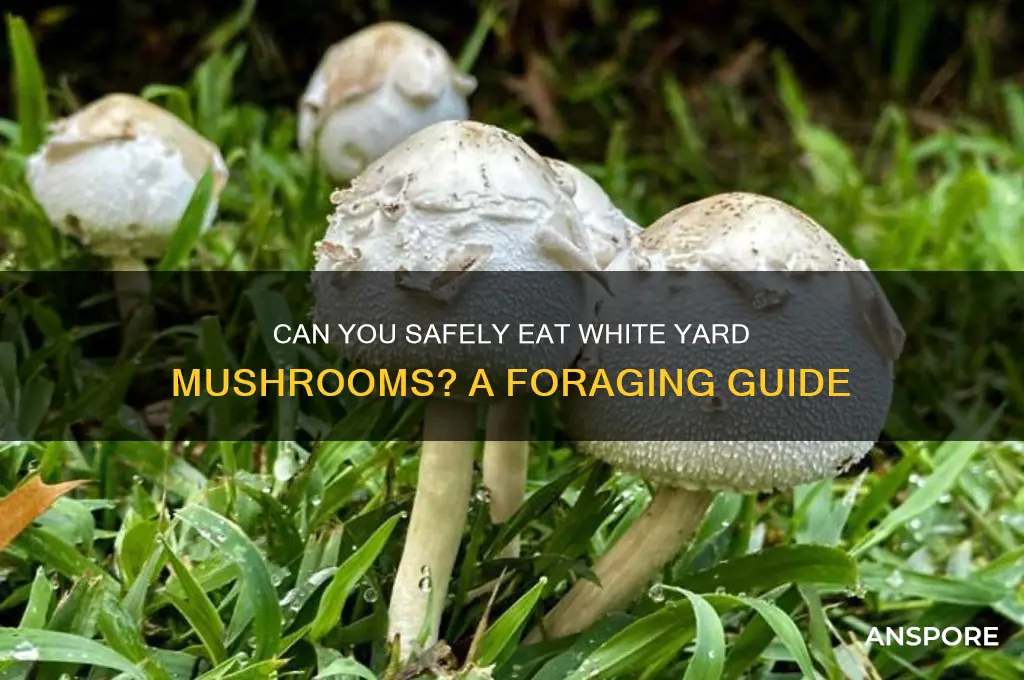 can you eat the white mushrooms in your yard