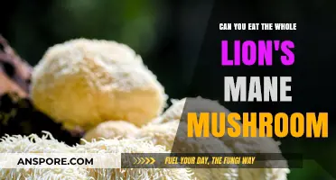 Can You Safely Eat the Entire Lion's Mane Mushroom?