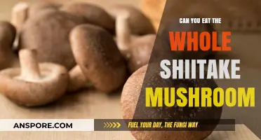 Can You Eat the Whole Shiitake Mushroom? A Complete Guide
