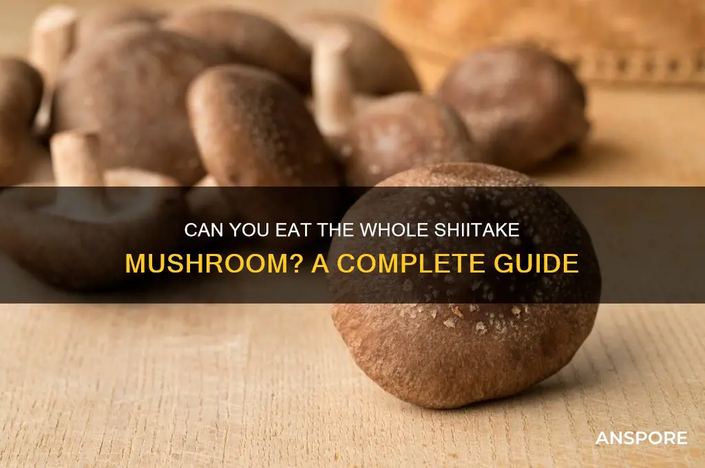 can you eat the whole shiitake mushroom
