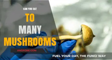 How Many Mushrooms Are Too Many? Balancing Nutrition and Risks