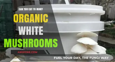Are You Overeating Organic White Mushrooms? Health Risks Explained