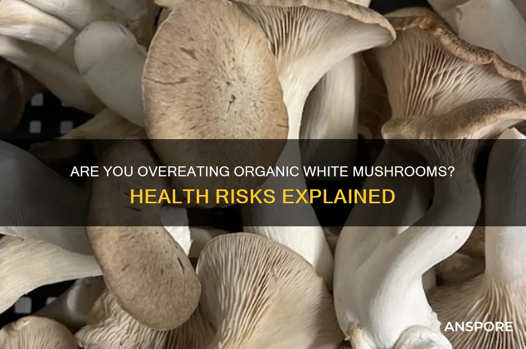 can you eat to many organic white mushrooms