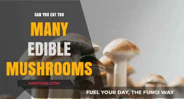 Risks of Overeating Edible Mushrooms: What You Need to Know