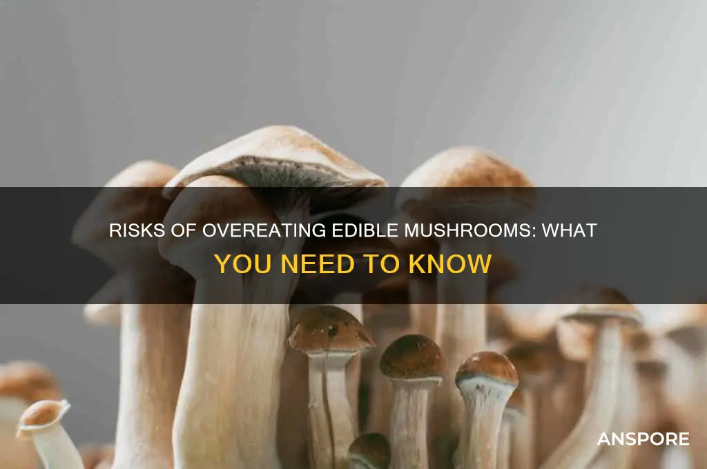 can you eat too many edible mushrooms