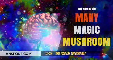 Magic Mushrooms: Risks and Limits of Overconsumption Explained