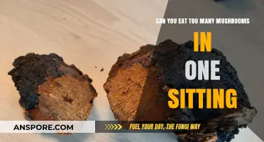 Mushroom Overload: Risks of Eating Too Many in One Sitting