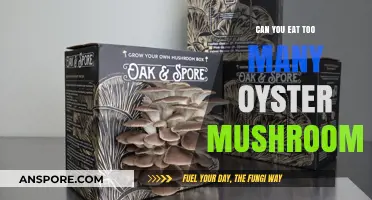 Oyster Mushrooms: How Many Are Too Many for Safe Consumption?