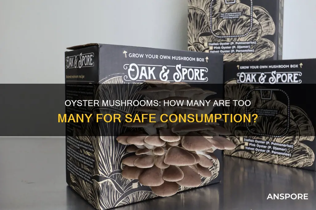 can you eat too many oyster mushrooms