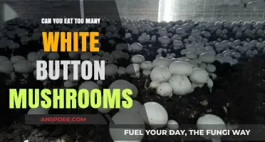 Are White Button Mushrooms Safe in Large Quantities? Find Out
