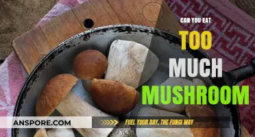 Mushroom Overload: Risks and Limits of Excessive Mushroom Consumption