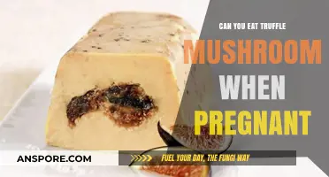 Pregnancy and Truffle Mushrooms: Safe or Risky to Eat?
