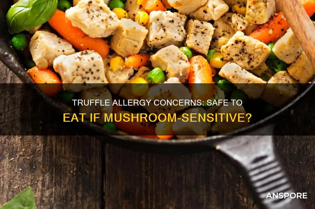 can you eat truffles if you are allergic to mushrooms