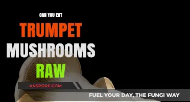 Can You Eat Trumpet Mushrooms Raw? A Tasty Truth