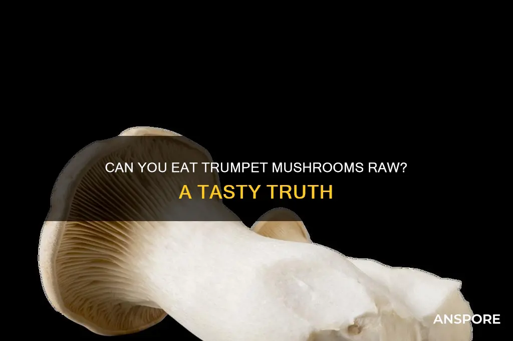 can you eat trumpet mushrooms raw