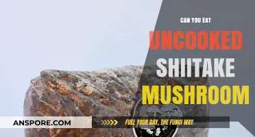 Can You Eat Uncooked Shiitake Mushrooms? Risks and Benefits Explained