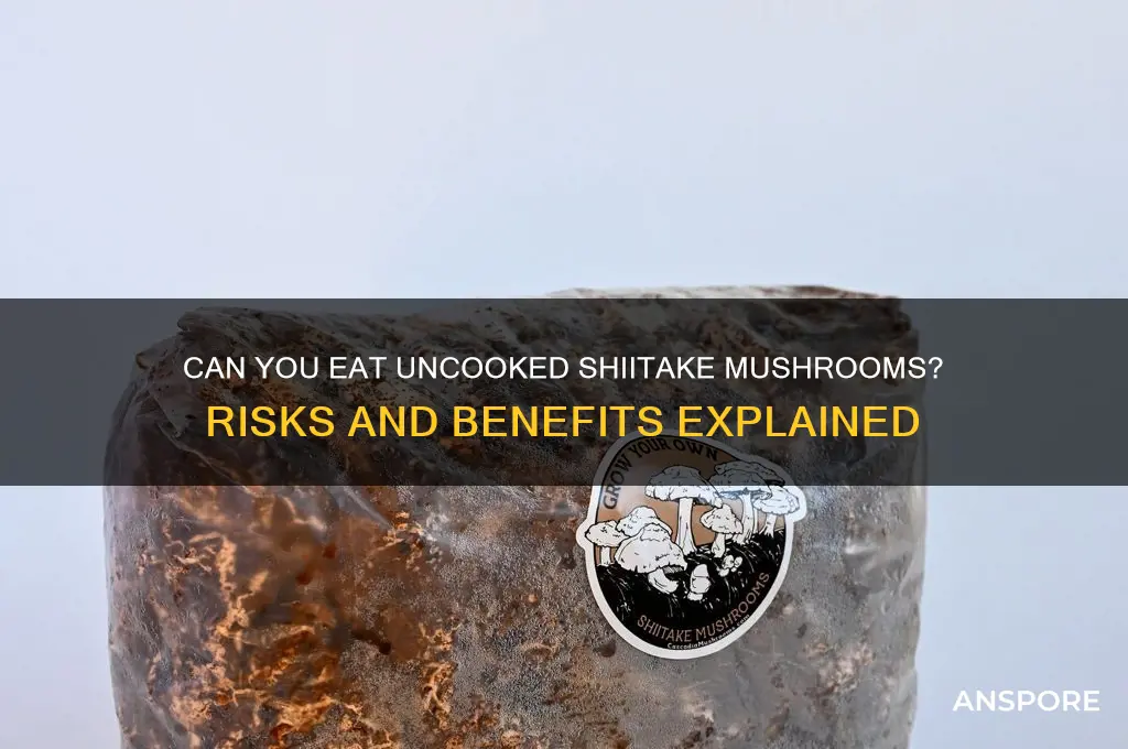 can you eat uncooked shiitake mushrooms