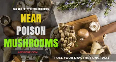 Are Vegetables Grown Near Poisonous Mushrooms Safe to Eat?